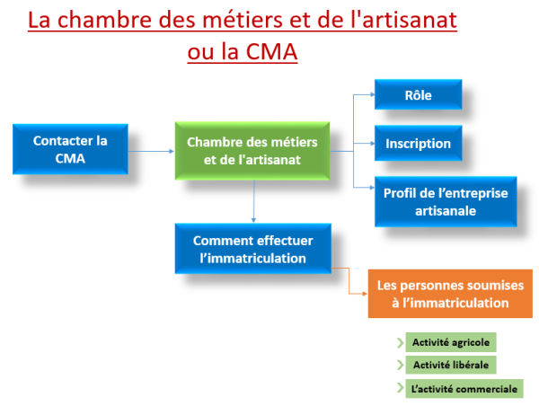 La Chambre De Métiers Et De L’artisanat : Définition, Rôle Et Missions