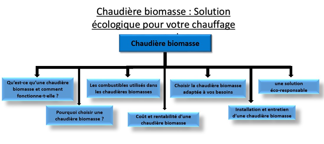 Chaudière biomasse solution écologique pour votre chauffage central